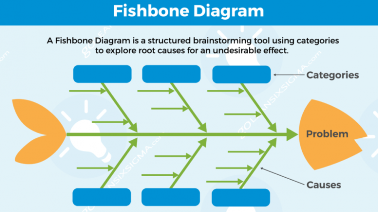 کاربرد نمودار علت و معلول در تحلیل مشکلات ریشه ای کسب و کار
